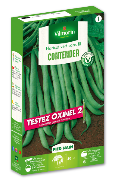 Légumes Secs - Haricot Nain Vert Contender + échantillon Oxinel 2 - face recto